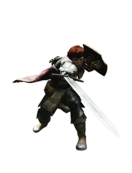 ꡼ No.002Υͥ / ե䥭ȤǮƮڤ롣Dragon's Dogmaפॷ祦2011˥ץ쥤֥Ÿ 