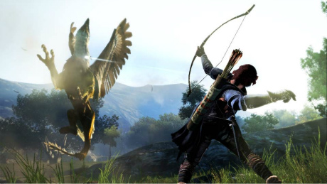 ꡼ No.008Υͥ / ե䥭ȤǮƮڤ롣Dragon's Dogmaפॷ祦2011˥ץ쥤֥Ÿ 