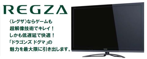 ���������꡼ No.008�Υ���ͥ������ / ��Dragon's Dogma�ס��ǲ�֥٥륻�륯�פȥ������åס����� �ɻ�ε��Ѥ�