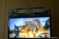 画像ギャラリー No.034のサムネイル画像 / 「Dragon's Dogma」では,油瓶を投げつけ炎の弓でサイクロプスを炎上させることも可能。RPG要素もたっぷり紹介された,メディア向けプレゼンをレポート