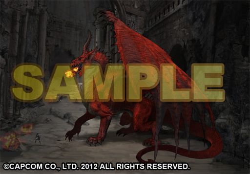 ���������꡼ No.004�Υ���ͥ������ / ���ץ���С��ȥѥ���ˡ�Dragon��s Dogma�פΥ���ܥ�˥塼��24�������о�