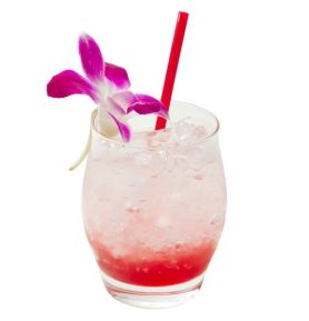 ���������꡼ No.013�Υ���ͥ������ / ���ץ���С��ȥѥ���ˡ�Dragon��s Dogma�פΥ���ܥ�˥塼��24�������о�