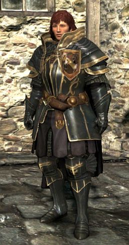 ꡼ No.003 | Dragons Dogmaס饨ǥåȤɲåѡĤȷǼĥȤۿ