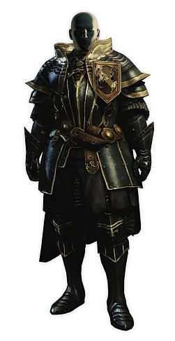 ꡼ No.004 | Dragons Dogmaס饨ǥåȤɲåѡĤȷǼĥȤۿ