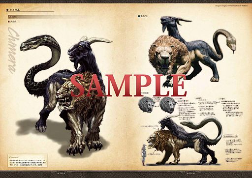 ꡼ No.004 | Dragon's Dogma׸轸ȯˡƤΰ