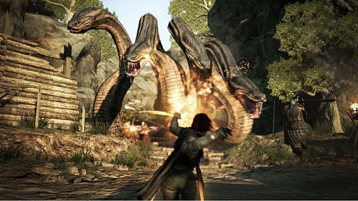 ꡼ No.001 | Dragon's DogmaסݿͥݡˤθWebư4Ƥ