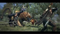 ꡼ No.002 | Dragons DogmaDLC֥η뾽ڥѥåפۿ