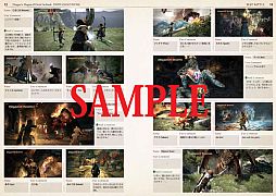 ꡼ No.005 | ץ󡤡Dragons Dogma׸ե֥åȯǿҾ