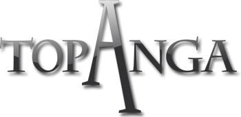 ���������꡼ No.001�Υ���ͥ������ / �֥���IV AE�ס���2���TOPANGA�����ƥ������åספ�4��8���˺�̤ǳ���