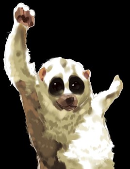 ꡼ No.009 | ֥˥˥Ķ2סĶ२ꥢΡȳƮॹơɤʤɤ