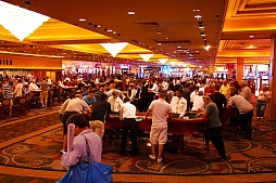 ꡼ No.011 | EVO 20130γƮ।٥ȡEvolution 2013״塞ɡƼܤθɤۿ塼ޤǤŰ