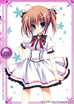 ���������꡼ No.005�Υ���ͥ������ / ����������Ѥ��������׸�ʷĤʤɤο��������о���ԥ奢������ȥ����