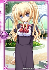 ꡼ No.003 | Ѥ פADVֲϤФޤƤפΥɤо