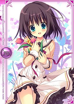 ���������꡼ No.003�Υ���ͥ������ / ����������Ѥ���������ɴ�ܵ���Ҥ�����ۤΤ����������Ų��༣���٥�Ȥ�