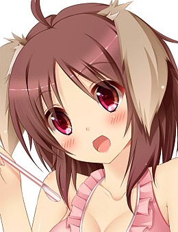 ���������꡼ No.004�Υ���ͥ������ / ����������Ѥ�������������ǵ���Ƚ���ߤ��ߤγ��β�ver.�����