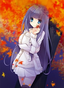 ꡼ No.001 | Ѥץ̼֥=顦ߥƥפȸǡ֤뤭Ρפо