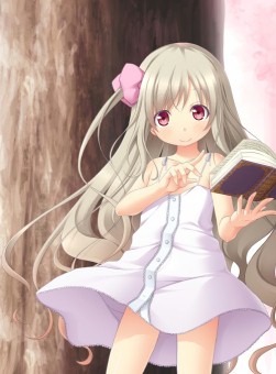 ꡼ No.001 | ѤۤΤ-ľ-ؼver.о