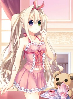 ꡼ No.001 | Ѥ׼䤷ʤ͡ɥꥣפEXо