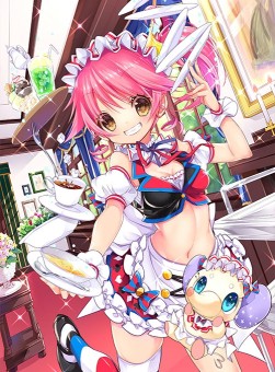 ꡼ No.001 | Ѥ׾ͳɱ쥢ʤɿSR6о