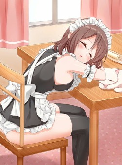 ꡼ No.003 | Ѥ׾ͳɱ쥢ʤɿSR6о