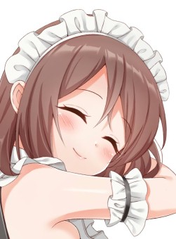 ꡼ No.009 | Ѥ׾ͳɱ쥢ʤɿSR6о