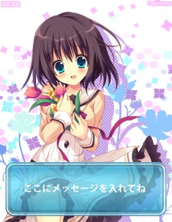 ꡼ No.002Υͥ / ֥ߥߡפ˥饹ȥå3ơѤ Vol.2פо