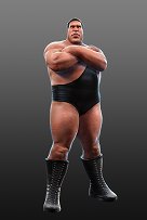 ꡼ No.013 | WWE All StarsפPS32011ǯ7ܤȯ䡣Ķ30̾Υѡ쥸ɤо