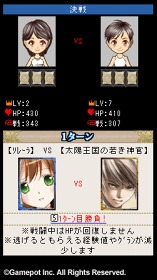 ꡼ No.013 | ֤ۤΥ纹ʤʤ̣Ϥʤס륲֥ƥ ХȥRPGפΥץǥ塼/ǥ쥯˥󥿥ӥ塼