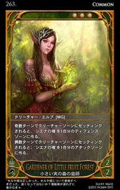 ꡼ No.039 | ߤΤ롼뤬ܳɡ饤󥫡ɥCARTEפ򥯥ɦ¥ƥȤƥץ쥤Ƥߤ