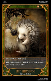 ꡼ No.061 | ߤΤ롼뤬ܳɡ饤󥫡ɥCARTEפ򥯥ɦ¥ƥȤƥץ쥤Ƥߤ