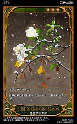 ���������꡼ No.022�Υ���ͥ������ / ��CARTE�ס����֡��������ѥå��������פ�4��4����ȯ�䡣��55����Υ����ɤ����о졤�֥���Х�⡼�ɡפˤϿ�����Хब8���ɲ�