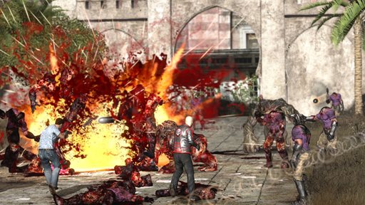 ꡼ No.002Υͥ / ֥ꥢ  3 BFE ܸǡפ330ȯ䡣äȥˤʤäȤʤꡤάΥꥢ󶦤ݤ褦