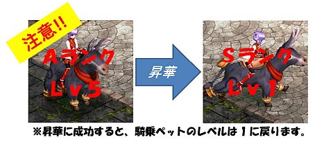 ꡼ No.004 | LEGEND of VALHALLAסڥåȤ򶯲뾺ѥƥबɲ