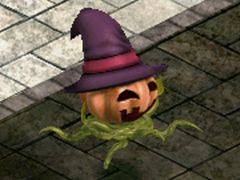 ꡼ No.001Υͥ / LEGEND of VALHALLAץƥ򽸤Ƹϥꤷ褦