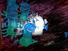 ꡼ No.001Υͥ / LEGEND of VALHALLAס緿åץǡȡFairy valo Tanssiפο2ͤαͺϤȤɲǤå褦