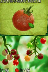 ꡼ No.017 | ֥ƥ󥫡٥βȡפ714ȯ䡣ͽ󥭥ڡ»