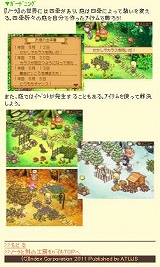 ꡼ No.009 | ֥Ρȹι˼״衦ʥꥪƤεӻ᤬֥򹹿