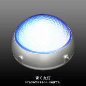 ꡼ No.010Υͥ / ȥ֥䡤եǥꥢ顼Ρ֥եƥפʤɤȯ