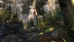 ꡼ No.031 | ֥륭СVס륨å˥ʥȥᥢڷλȤ쥤ʤ3饯ξ󤬸 