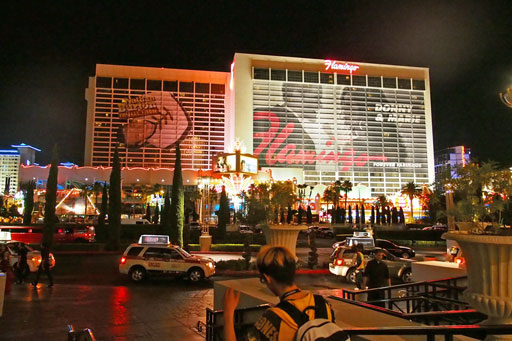 ꡼ No.009Υͥ / EVO2012ϴڹγΩäEVO2012׺ǽݡȡ֥륭СVפͥǥݥΥߥ˥󥿥ӥ塼Ǻ