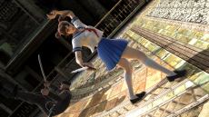 ꡼ No.006 | ֥륭СVDLC11Ƥۿ719˥ȡ顼䡤ҡʷϵ򴶤뿷塼