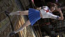 ꡼ No.008 | ֥륭СVDLC11Ƥۿ719˥ȡ顼䡤ҡʷϵ򴶤뿷塼