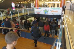 ꡼ No.002 | 衼åѺγƮ।٥ȡWorld Game Cup 2013ץݡȡǮ˰줿ͤ򡤥ե󥹡̤ʤȶˤϤ