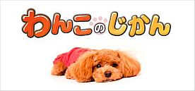 ���������꡼ No.002�Υ���ͥ������ / ��ȯ�ġ����Unity�ɤ���Ѥ����֤�󤳤Τ�����ס�Android��Mobage���ۿ�