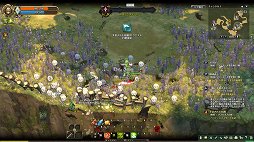 ���������꡼ No.005�Υ���ͥ������ / ��Tree of Savior�ץ��������ɦ¥ƥ��������罸���������ȡ��İ��餷��2D����ե��å������������­�᤯�θ����褦