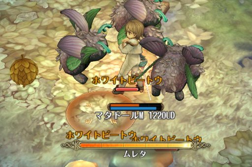 ���������꡼ No.017�Υ���ͥ������ / ��Tree of Savior�פ�12��20�����緿���åץǡ��Ȥ��»ܡ���8�����饹�μ����������ƥϥ��������Ǥζ����ǡ����ͷ�Ӥ������Τ������Ƥ�