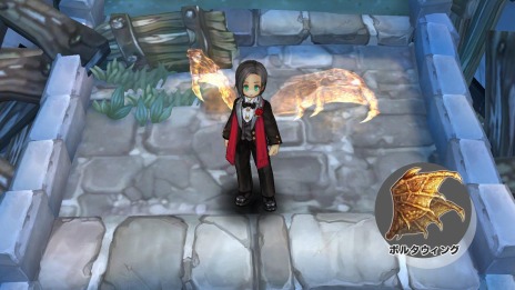 ꡼ No.010 | Tree of Savior Japanפ6åץǡȤɥޥ󥯥饹Ĵ쥤ɥ󥸥βԤ»