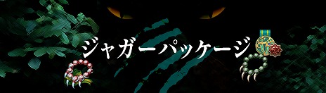 ꡼ No.008Υͥ / Tree of Savior Japanס饹ȥ㥬ɤʤɤɲä緿åץǡȤ̵žڡ⥹