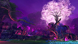 ꡼ No.007Υͥ / NHN PlayArtMMORPGECHO OF SOULEOSˡפΥƥȤ󥻥ץȤϡMMORPGγڤɵ᤹