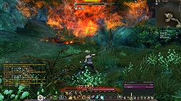 ���������꡼ No.041�Υ���ͥ������ / ��ECHO OF SOUL��EOS�ˡפϡ�MMORPG�����򤵤�Ƴ�ǧ�����Ƥ��������٤褤�ɺ��ʡ�����ǹԤ�줿�ե����������롼�ץƥ��Ȥ��ݡ���